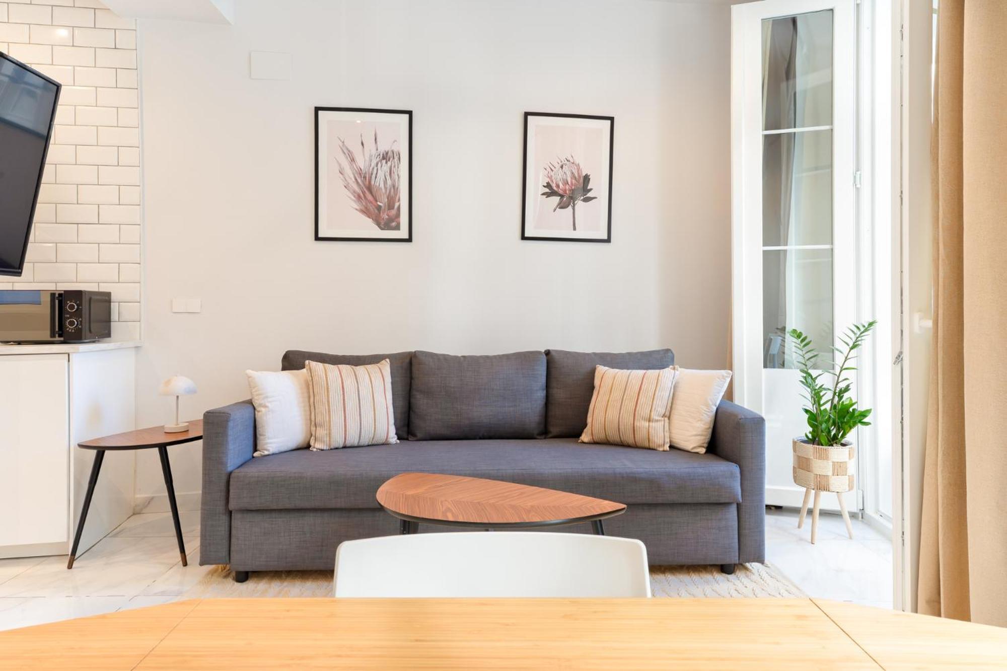 Apartment Serenity Deluxe